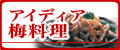 �A�C�f�B�A�~�������V�s�͂�����