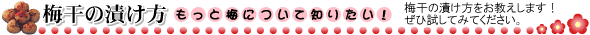 梅干の漬け方